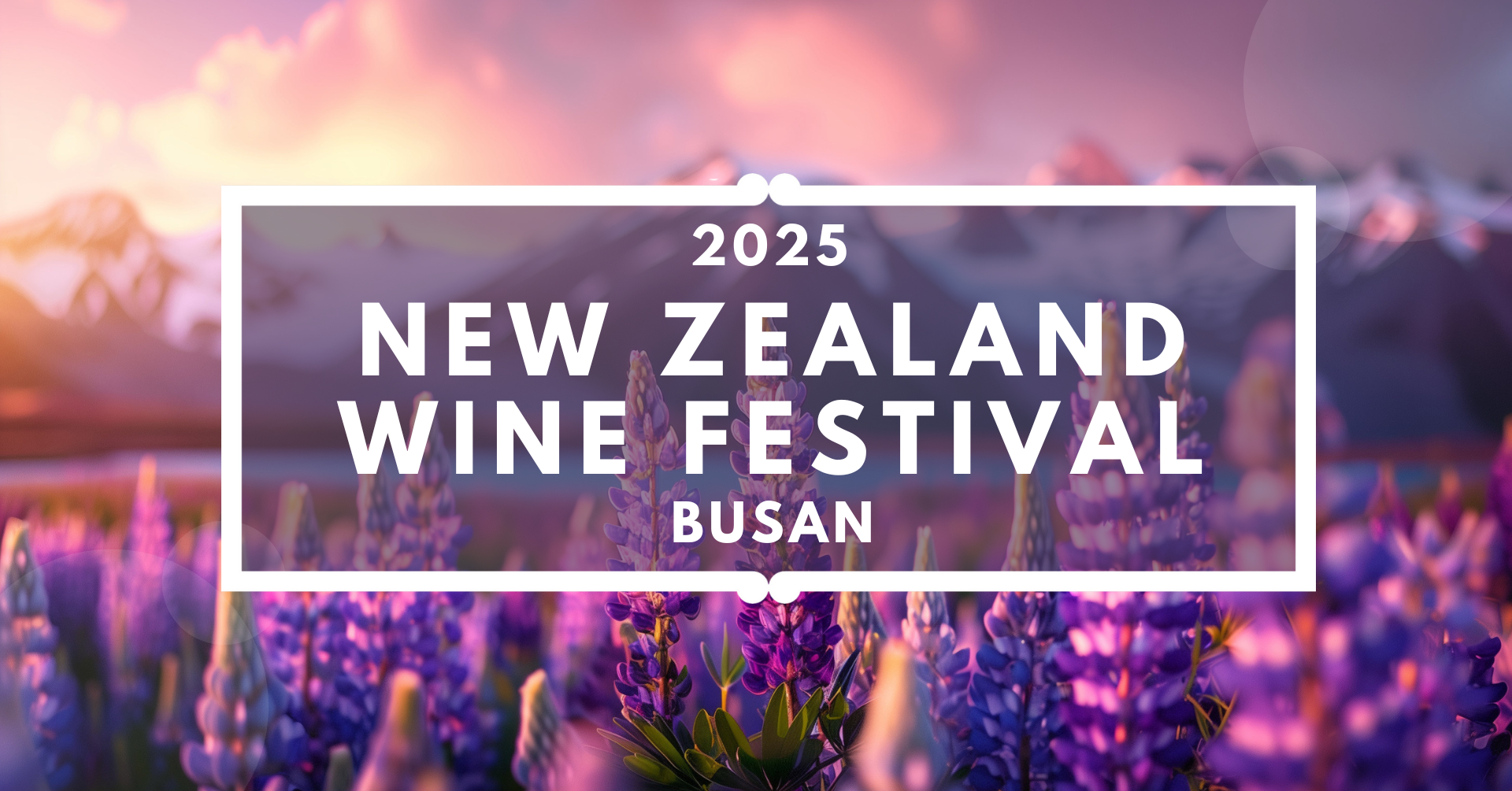 2025 New Zealand Wine Festival Busan